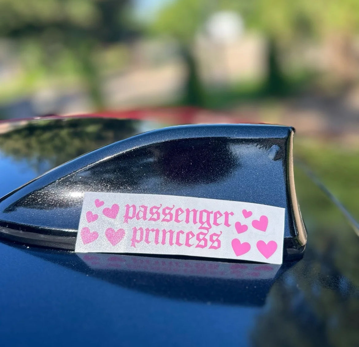 “Passenger Princess” Decal